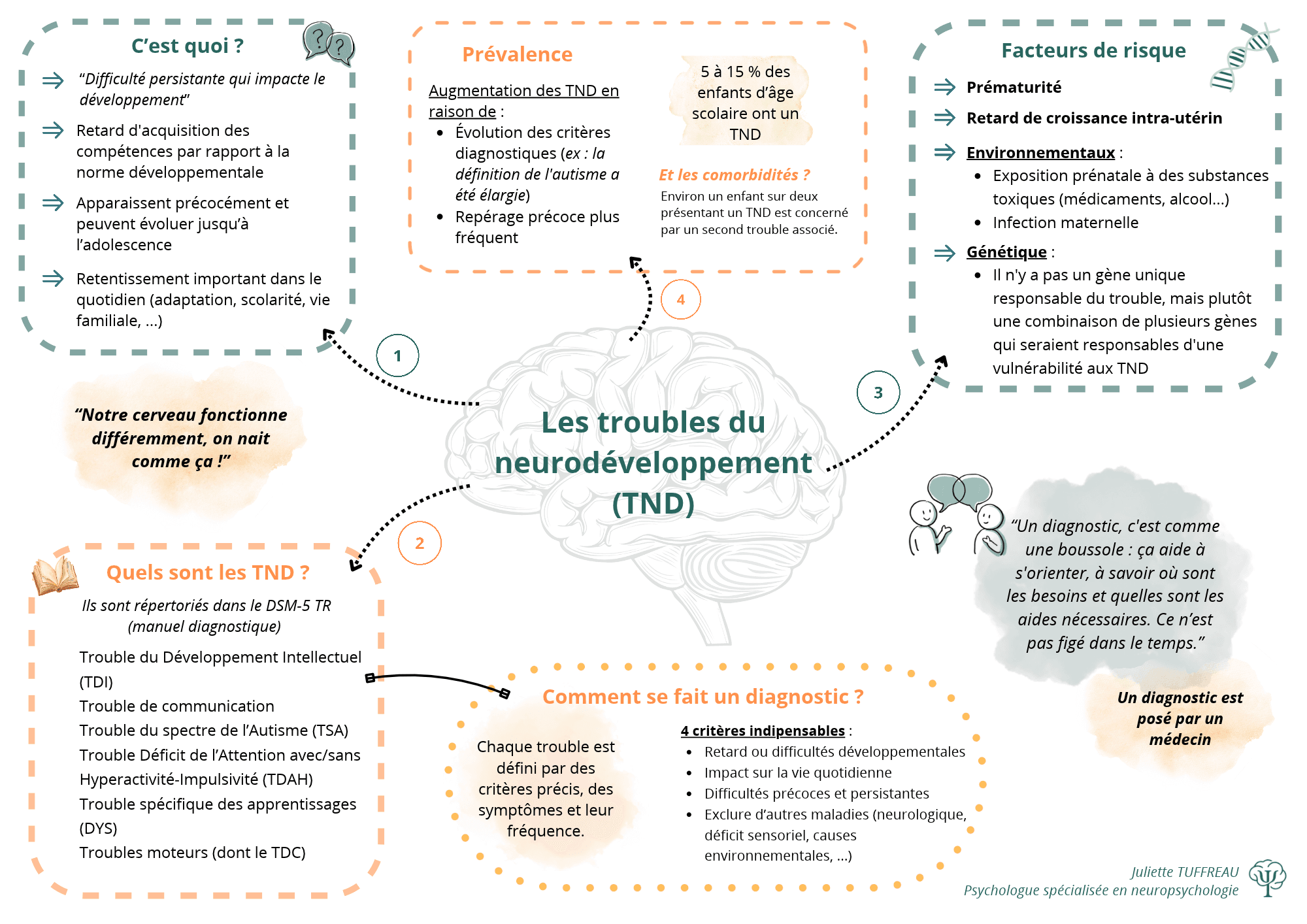 Les troubles du neurodéveloppement