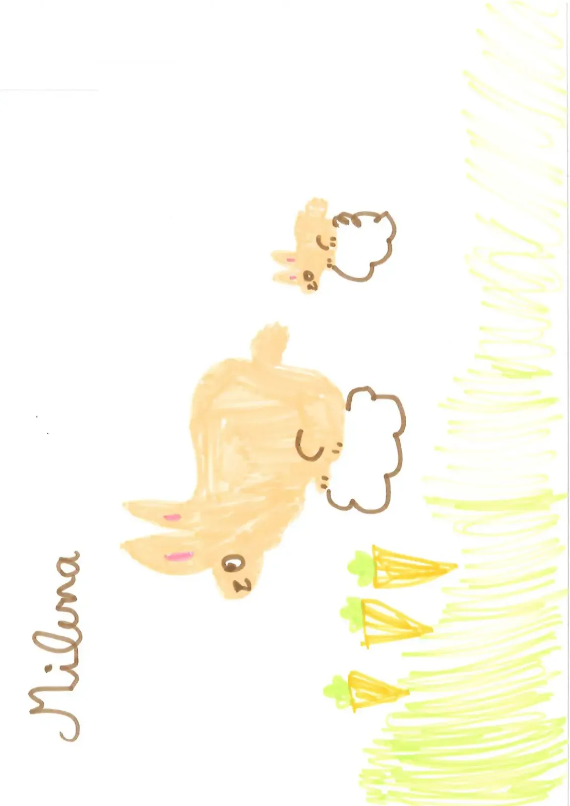 Dessin de Dessin 12